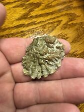 Cretaceous Period Fossil Sea Shell From North Mississippi picture