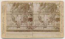 PHILADELPHIA SV - Benjamin Franklin Grave - Webster & Albee 1890s picture