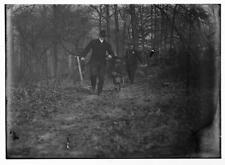 Policeman,police dog chasing tramp,New York City,NYC,1912,wooded area picture