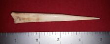 C17-066:  4 in. Polished Bone Awl from Christian County, Kentucky picture