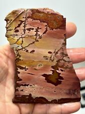 Dead Camel Dendritic Jasper slab Cabbing Lapidary Collecting Combo Ship Avail picture