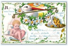 c1910's Stork Scaling Baby And Coins Flowers Embossed Unposted Antique Postcard picture