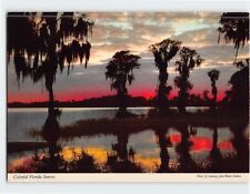 Postcard Colorful Florida Sunset Florida USA picture