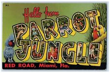 c1940 Hello From Parrot Jungle Red Road Bird Miami Florida Big Letters Postcard picture
