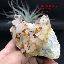 165g Large Natural White Clear Quartz Crystal Cluster Rough Healing Specimen picture