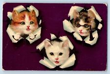 Schleswig Iowa IA Postcard Cute Cat Kittens Animal Embosses 1912 Posted Antique picture