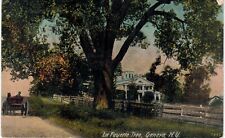 Geneva Lafayette Tree 1910 NY  picture