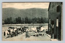 Lenox MA-Massachusetts, Eastover Resort Horses Antique Vintagec1951 Postcard picture