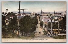 Somerset PA Town View Hand Colored Chas H Fischer & Son Albertype Postcard C48 picture