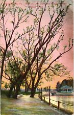 Walk at Lake Side and Music Pavilion Willow Grove Philadelphia PA Postcard c1908 picture