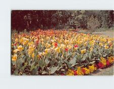 Postcard Flower Garden near Lake Harriet Minneapolis Minnesota USA picture