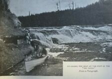 1908 Caribou Hunting in Newfoundland illustrated picture