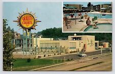 c1950s~Arlington Virginia VA~Quality Courts Motel~Pool~Big Sign~Vintage Postcard picture