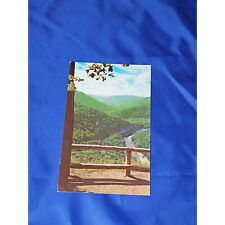 Loyalsock Canyon Vista Postcard Worlds End State Park PA Chrome Divided picture