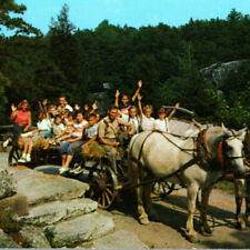 Vintage 1950s Hayrides Lake Minnewaska Resort Shawangunk Mountain Postcard NY picture