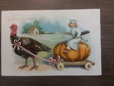 Tuck's Post Card Turkey pulling Chef on a pumpkin Series 123 Thanksgiving A411 picture
