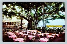 Honolulu HI-Hawaii, Moana Hotel, Banyan Court Lanai, Vintage Postcard picture