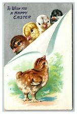 Vintage 1908 Tuck's Easter Postcard Cute Multicolor Chicks Silver Face Nice Card picture
