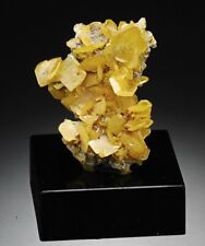WULFENITE lustrous crystals - MOROCCO /bo773 picture