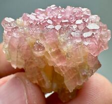 105 Carat Extra Ordinary Rare Bi Color Tourmaline Lustrous Crystals Bunch @AFG picture