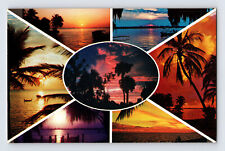 Postcard Florida FL Multi View Sunsets 1960s Unposted Chrome  picture