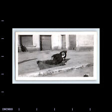 Vintage Photo HOMELESS MAN BEGGAR MIDDLE EAST STREET SCENE picture