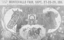 Montevallo Fair Harness Horse Racing Alabama AL picture