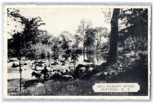 c1920's Ramapo River Groves Stones Over View Suffern New York Vintage Postcard picture