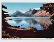 Postcard Bow Lake Banff National Park Canada picture