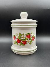 Vintage Sears Strawberry Fields Canister 1970s Lidded Kitchen Japan 7