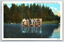 Postcard Kitch-Iti-Ki-Pi Spring Near Manistique Michigan MI c.1933 picture