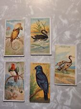 1889 Allen & Ginter Cigarettes Birds Of The Tropics, 5 cards, Swan,Bower Bird... picture