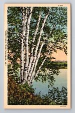 Windsor VT-Vermont, General Greetings, Lake and Trees, Vintage Souvenir Postcard picture