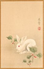 Japanese Art Nouveau Postcard White Rabbit among Plants w/ Red Berries Unposted picture