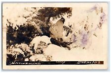 Oneill Nebraska NE Postcard RPPC Photo Snowbound Graves Rooster Hen c1910's picture