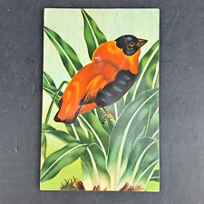 VINTAGE 1950'S POST CARD SQUEEZE ACTION SOUND POSTCARD BIRD CHIRP - UNPOSTED picture