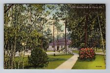 St Cloud FL- Florida, Tourist Park, Antique, Vintage Souvenir Postcard picture