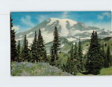 Postcard Washington as viewed from Mazama Ridge Mt. Rainier National Park WA USA picture
