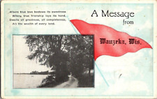 1920'S. GREETINGS FROM WAUZEKA, WISCONSIN. POSTCARD FX18 picture