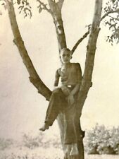 1940s Young Guy Sits on High Tree Photo Vintage Snapshot picture