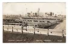 RPPC Meat Factory- Tovreas Packing Company- Phoenix Arizona Real Photo Postcard picture