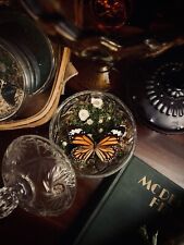 Monarch Butterfly Curio Vintage Crystal Trinket Display picture