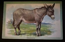 Tuck Domestic Animals  Donkey Animal Study c1910 Vintage Postcard~h780 picture