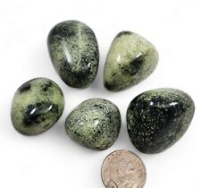 Serpentine Polished Stones India 72.1 grams picture