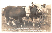 RPPC Twin Steers, Bob Cooper, Omaha, Nebraska Cowboy c1940s Vintage Postcard picture