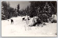 Scene Near Hulbert MI Michigan Dear Snow RPPC c1940s Postcard Y26 picture