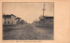 Main Street Looking East Remus Michigan UDB Unposted c1905 Postcard picture
