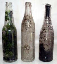 Vintage Pre-1930's Soda Bottle Lot (Clear) Freshly Dug LOOK picture