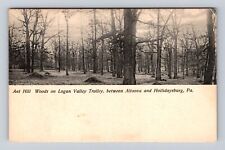 Altoona PA-Pennsylvania, Ant Hill Woods - Logan Valley Trolley, Vintage Postcard picture