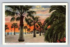 A CA-California Colorful Seaside Boulevard, Ladies & Gents, Vintage Postcard picture